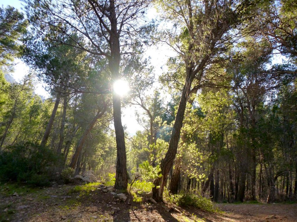 Finca Ses Fontanelles Андрач Экстерьер фото