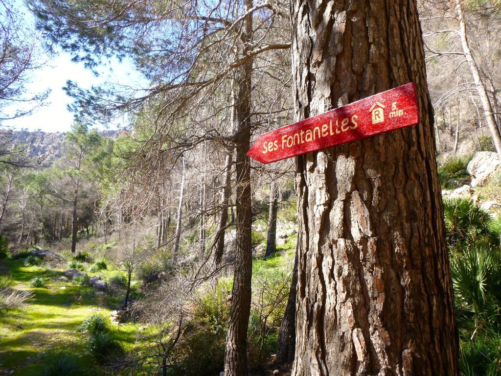 Finca Ses Fontanelles Андрач Экстерьер фото