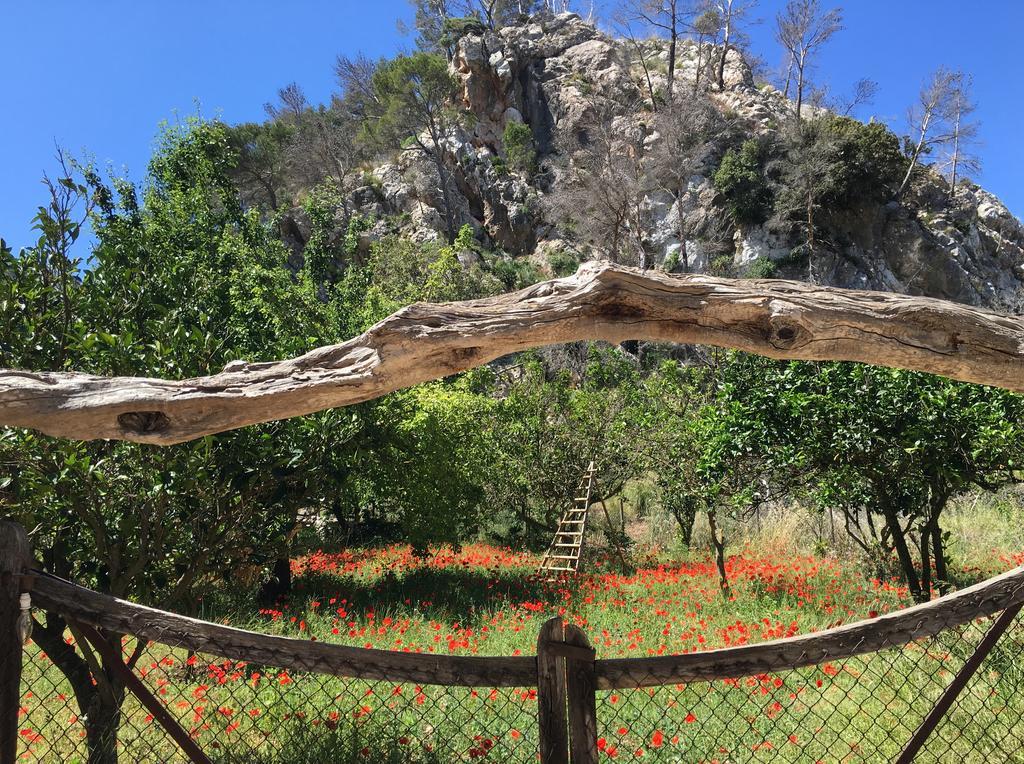 Finca Ses Fontanelles Андрач Экстерьер фото